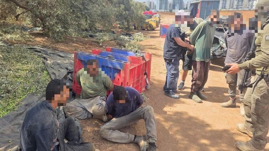 اعتقال 6 عمال من الضفة دون تصاريح قرب سولم وإحالتهم مع مشغّلهم للتحقيق